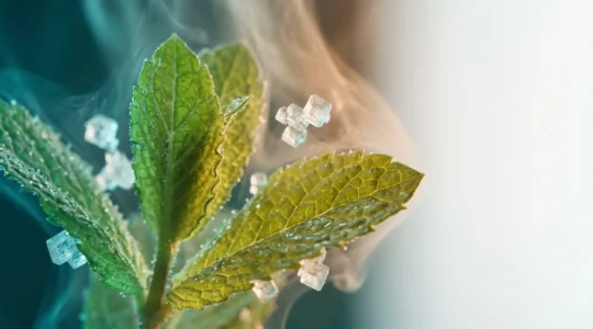 Close-up view of cooling vapor with peppermint leaves and abstract molecular structure representing menthol compounds