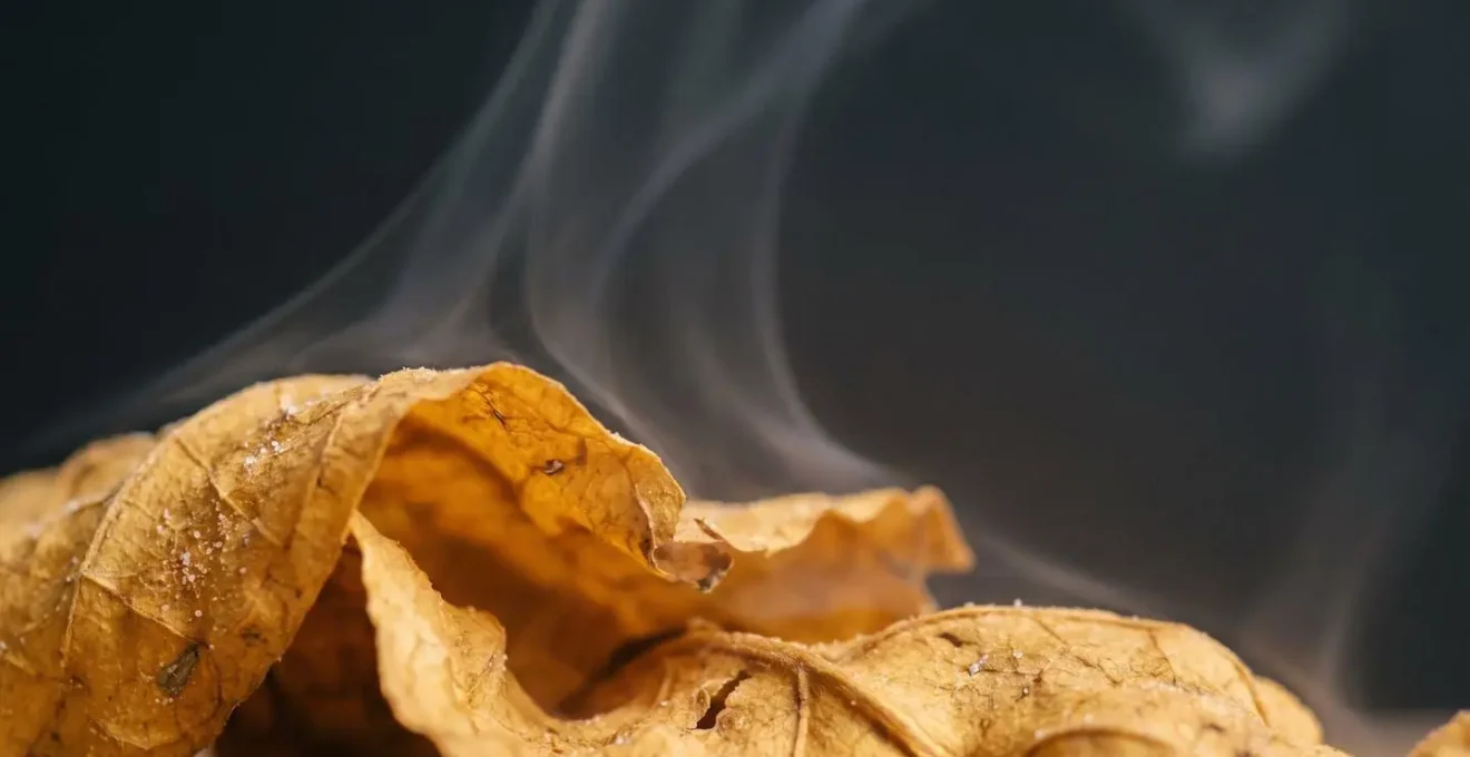 Close-up view of tobacco leaves and vapor clouds highlighting natural tobacco essence
